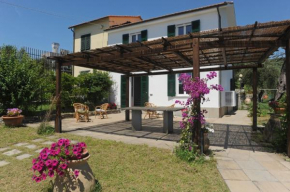 Casa Franguella - Uliveto sul mare Lavagna